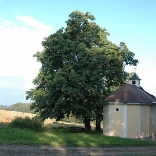 Poloha a okolí